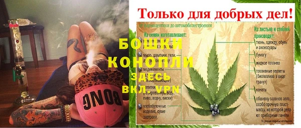 ГАЛЛЮЦИНОГЕННЫЕ ГРИБЫ Сосновка